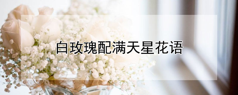 白玫瑰配满天星花语（白玫瑰配满天星寓意）
