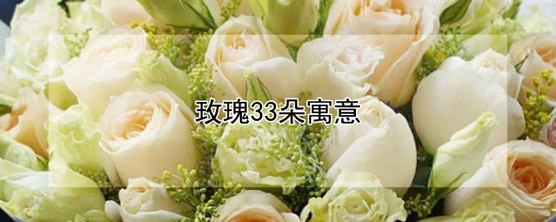 玫瑰33朵寓意 玫瑰33朵花语