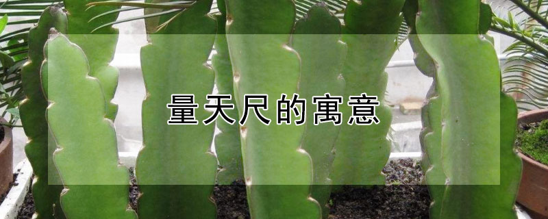 量天尺的寓意（量天尺的寓意与风水）