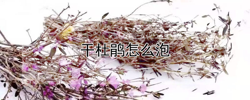 干杜鹃怎么泡（干杜鹃怎么泡酒）