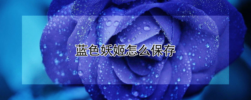 蓝色妖姬怎么保存 蓝色妖姬怎么保存会更好