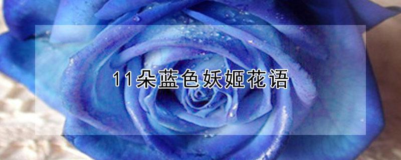 11朵蓝色妖姬花语 11朵蓝色妖姬花语是什么意思