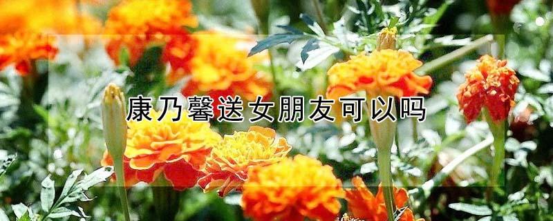 康乃馨送女朋友可以吗 康乃馨送女性朋友可以吗