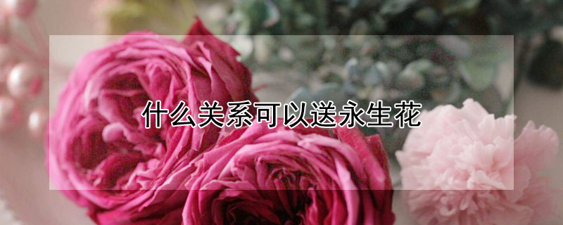 什么关系可以送永生花（永生花的两个寓意）