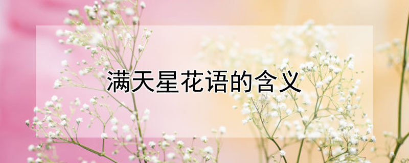 满天星花语的含义 满天星花语代表什么象征意义
