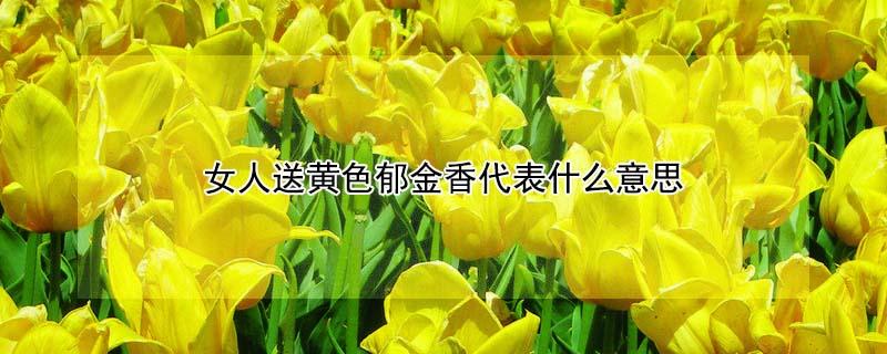 女人送黄色郁金香代表什么意思（女人送黄色郁金香代表什么意思呀）