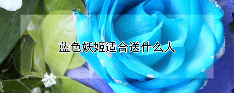蓝色妖姬适合送什么人（蓝色妖姬的花语是什么意思）