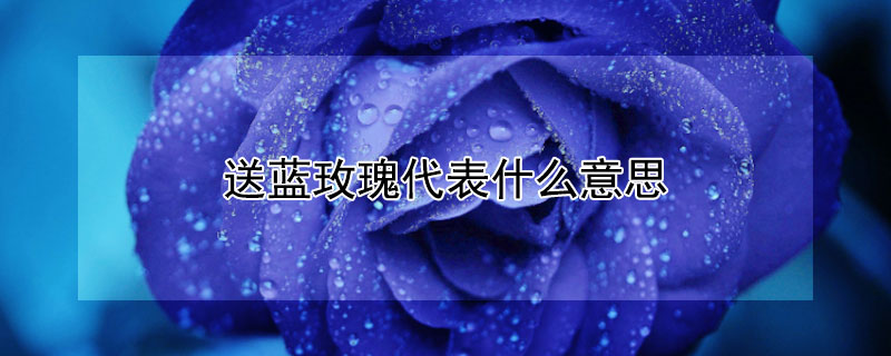 送蓝玫瑰代表什么意思（送蓝玫瑰代表什么意思呀）