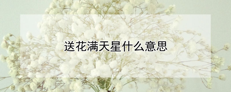 送花满天星什么意思 送满天星花束