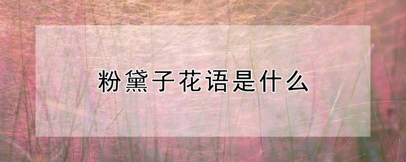 粉黛子花语是什么（粉黛花语是什么意思）