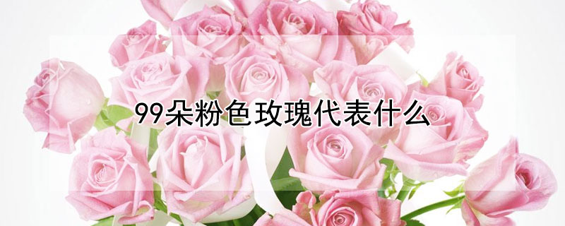 99朵粉色玫瑰代表什么（99朵粉色玫瑰的花语是什么）