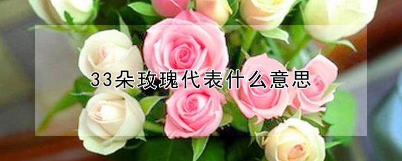 33朵玫瑰代表什么意思（33朵香槟玫瑰代表什么意思）