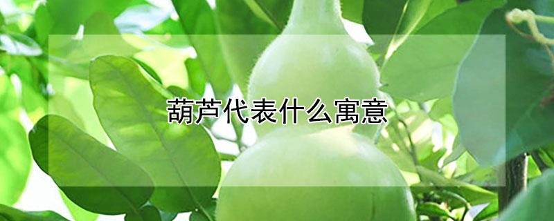 葫芦代表什么寓意 小孩子葫芦代表什么寓意