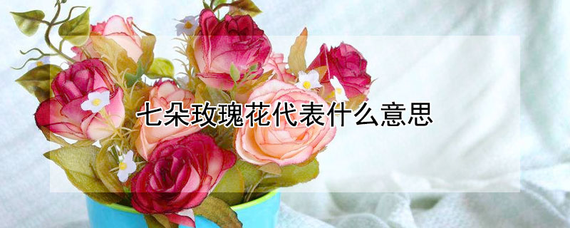 七朵玫瑰花代表什么意思 九朵玫瑰花代表什么意思