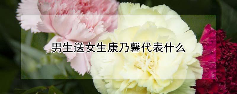 男生送女生康乃馨代表什么（男生送女生康乃馨什么意思）