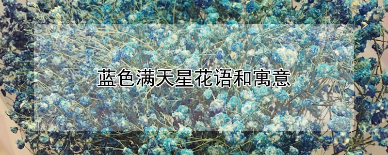 蓝色满天星花语和寓意（蓝色满天星花语和寓意一束多少钱）