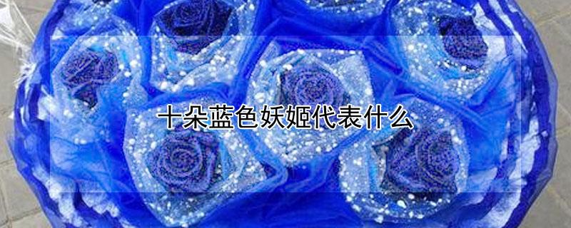 十朵蓝色妖姬代表什么 十朵蓝色妖姬代表什么含义