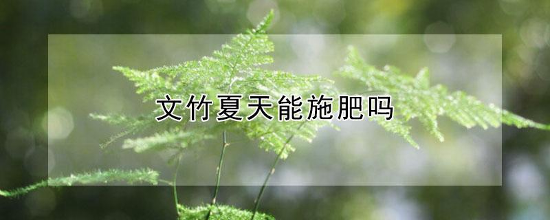 文竹夏天能施肥吗 文竹夏天可以施肥吗