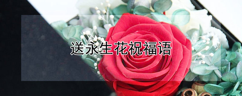 送永生花祝福语（送永生花祝福语怎么说）