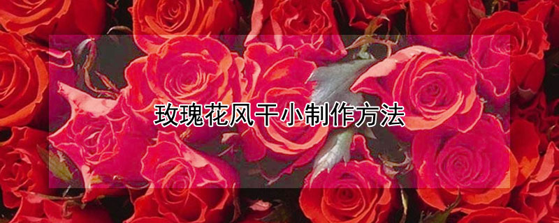 玫瑰花风干小制作方法（玫瑰花风干的教程）