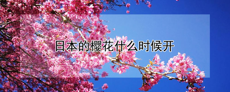 日本的樱花什么时候开 10月的樱花开是什么樱花