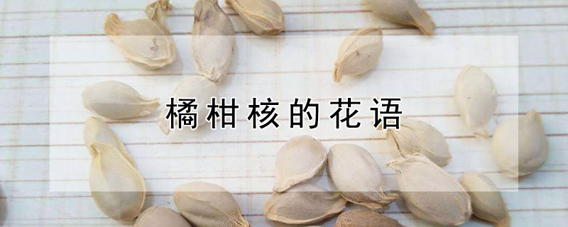 橘柑核的花语 橘核和柑核一样吗
