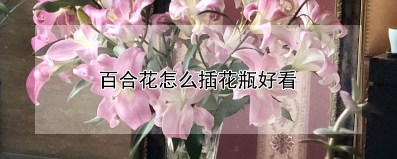 百合花怎么插花瓶好看（百合花怎么插花瓶好看视频）