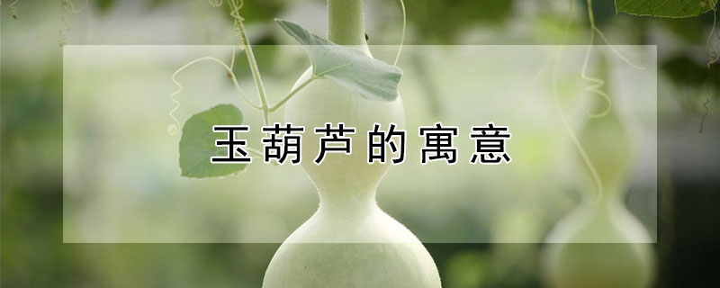 玉葫芦的寓意 玉葫芦的寓意和象征风水