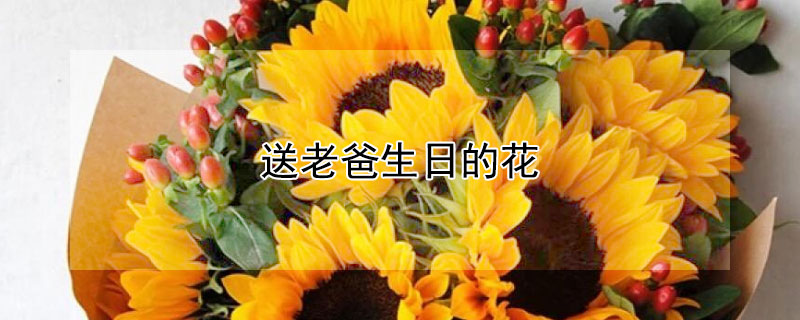 送老爸生日的花 送老爸生日的花束祝福语