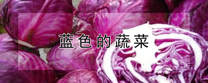 蓝色的蔬菜（蓝色的蔬菜水果有哪些图片）