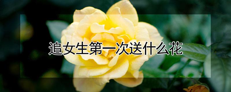 追女生第一次送什么花（正在追求的女生送什么花合适）