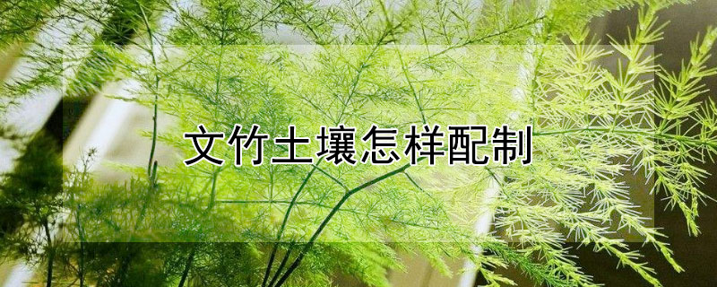 文竹土壤怎样配制 文竹土壤怎样配制的