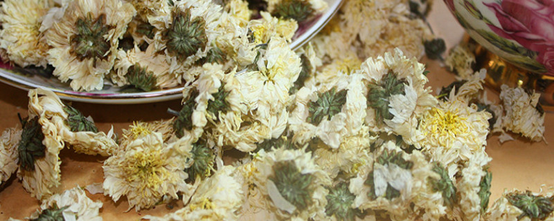 干菊花如何保存（干菊花怎样保存）