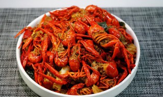 怎么养青龙虾（青龙虾怎么养活）