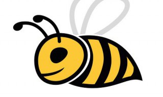 怎么养野蜂 新手养蜂入门找野蜂