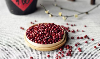 红豆杉树苗怎么养 红豆杉树苗养殖方法