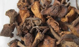 东北的榛蘑和野生蘑菇有区别吗（东北的榛蘑和野生蘑菇有区别吗）