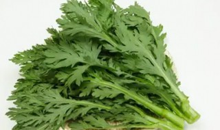 蒿菜什么时候种（蒿子菜什么时候种）