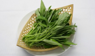 阳台怎样种菜养殖 阳台怎样种菜养殖好