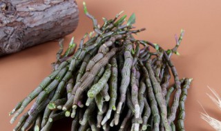 石斛兰种植技巧（石斛兰的种植方法）