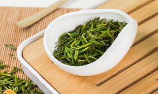 茶叶的种植技巧和时间（茶叶的种植时间和方法）