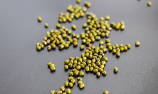 生活小技巧种植绿豆（种植绿豆的具体操作）