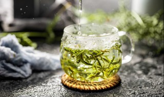 茶叶的种植方法与技巧（茶叶的种植方法与技巧图片）