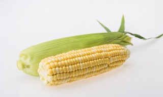 红加粉玉米种植技巧 红加粉玉米品种