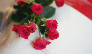 玫瑰花怎么修剪 秋季玫瑰花怎么修剪