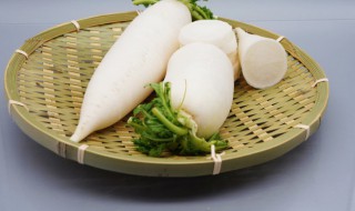 夏季耐热萝卜品种（夏季耐热青萝卜品种有哪些）
