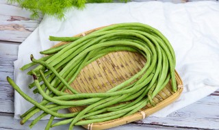 豇豆种植技术与管理 豇豆种植技术与管理北方地区豇豆种植时间