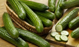 黄瓜施什么肥料最好 黄瓜施什么肥料最好最快