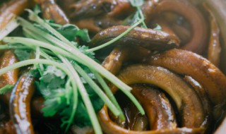 黄鳝地笼放什么诱饵最好 地笼黄鳝放什么饵料