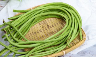 豆角用什么肥料 豆角用什么肥料生根快